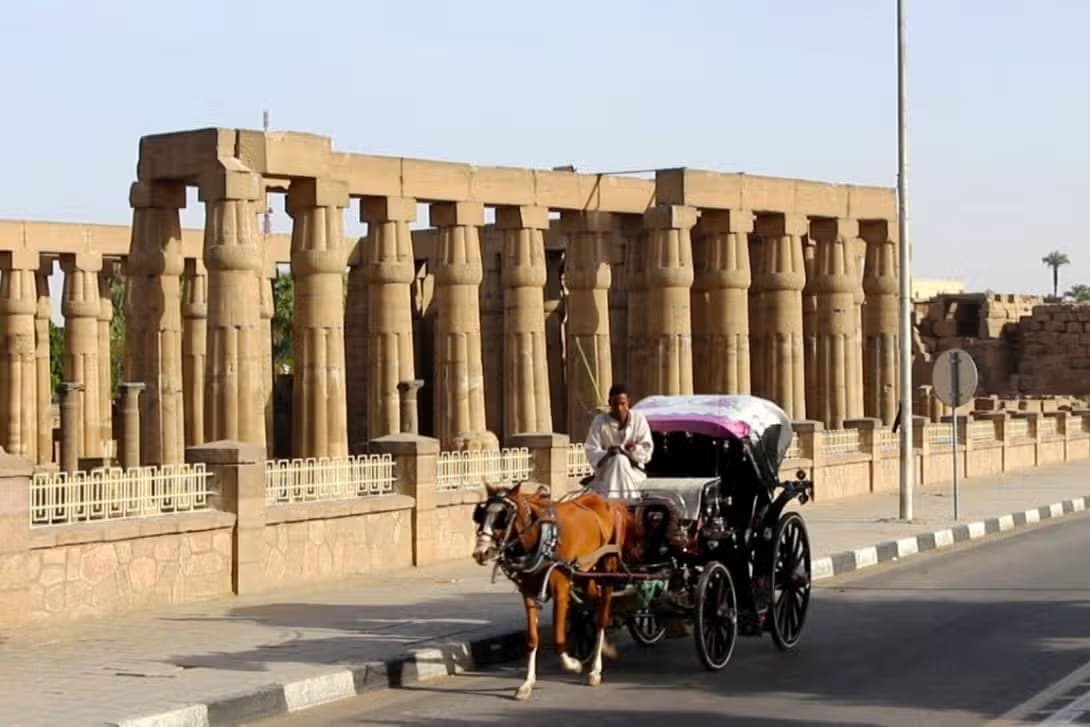 جولة الحنطور في الأقصر